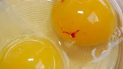 Can You Eat Eggs with a Red Spot on the Yolk?