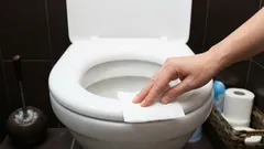 Many people don’t know why you shouldn’t wipe the toilet seat with toilet paper.
